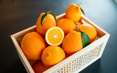 portocale-789528.webp.webp - StiriAlese