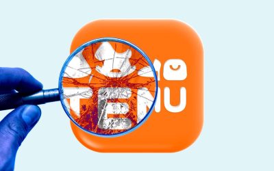 probleme-cu-temu.jpg - StiriAlese