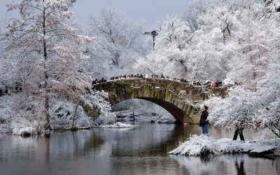 profimedia-1059402406.jpg - StiriAlese