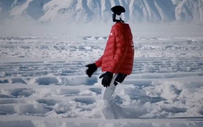 robot-umanoid.jpg - StiriAlese