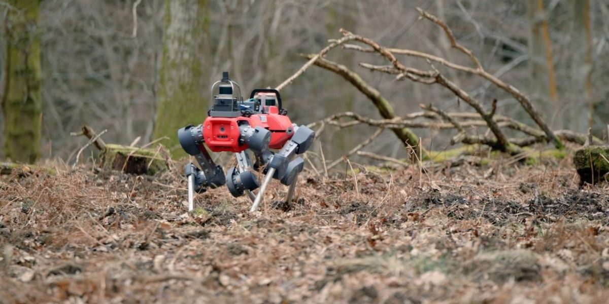 robotii-caini-care-scaneaza-padurile-defrisari.jpg - StiriAlese