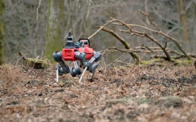 robotii-caini-care-scaneaza-padurile-defrisari.jpg - StiriAlese