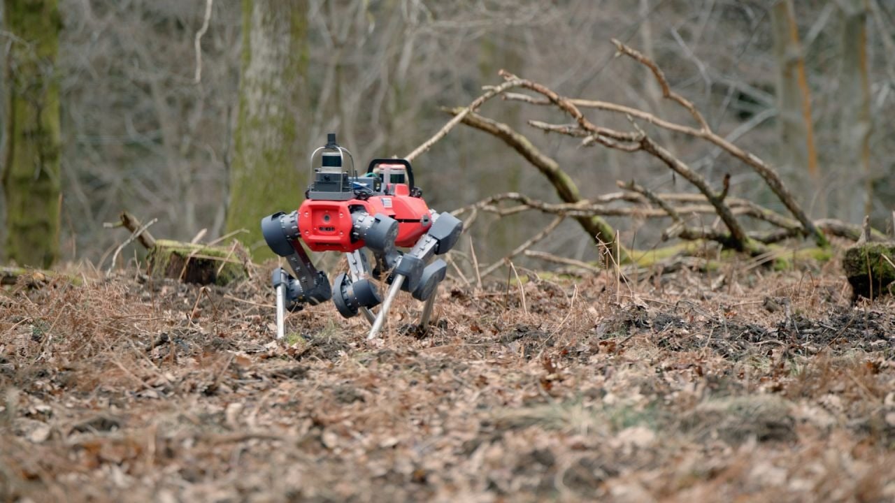 Cum funcționează și cum contribuie mediul la protecție