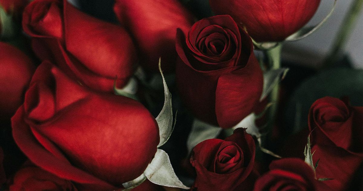 Atenție, românii! Fraudă în numele dragostei: Cum își pierd victimele averea de Valentine’s Day Zeci de oameni din Carolina de Nord au pierdut milioane de dolari în scheme de fraudă romantică, iar FBI Charlotte face apel la conștientizare înainte de Ziua Îndrăgostiților