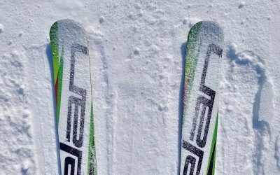 sarituri-schiuri-zapada.jpeg - StiriAlese