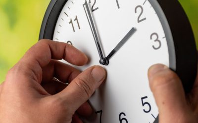 shutterstock-2561324133.jpg - StiriAlese