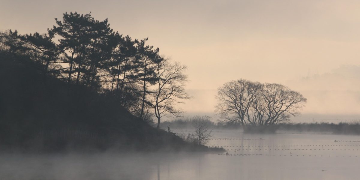 spinelee-bog-7426469_1280.jpg - StiriAlese