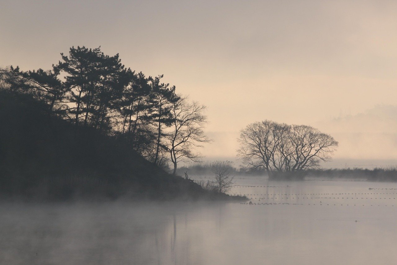 Misterele sacrificiilor antice: zeci de cadavre descoperite în mlaștinile din Germania dezvăluie povești neașteptate din trecut Tainele trecutului se dezvăluie adesea în cele mai neașteptate colțuri ale lumii, iar recent, o descoperire remarcabilă din Germania a adus în prim-plan câteva dintre cele mai fascinante și enigmatice episoade ale istoriei antice