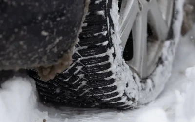 stratdezapada_INQUAM_Photos_Cosmin_Enache.webp.webp - StiriAlese