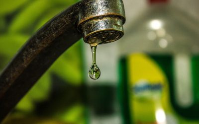 tap-4501207_1280.jpg - StiriAlese