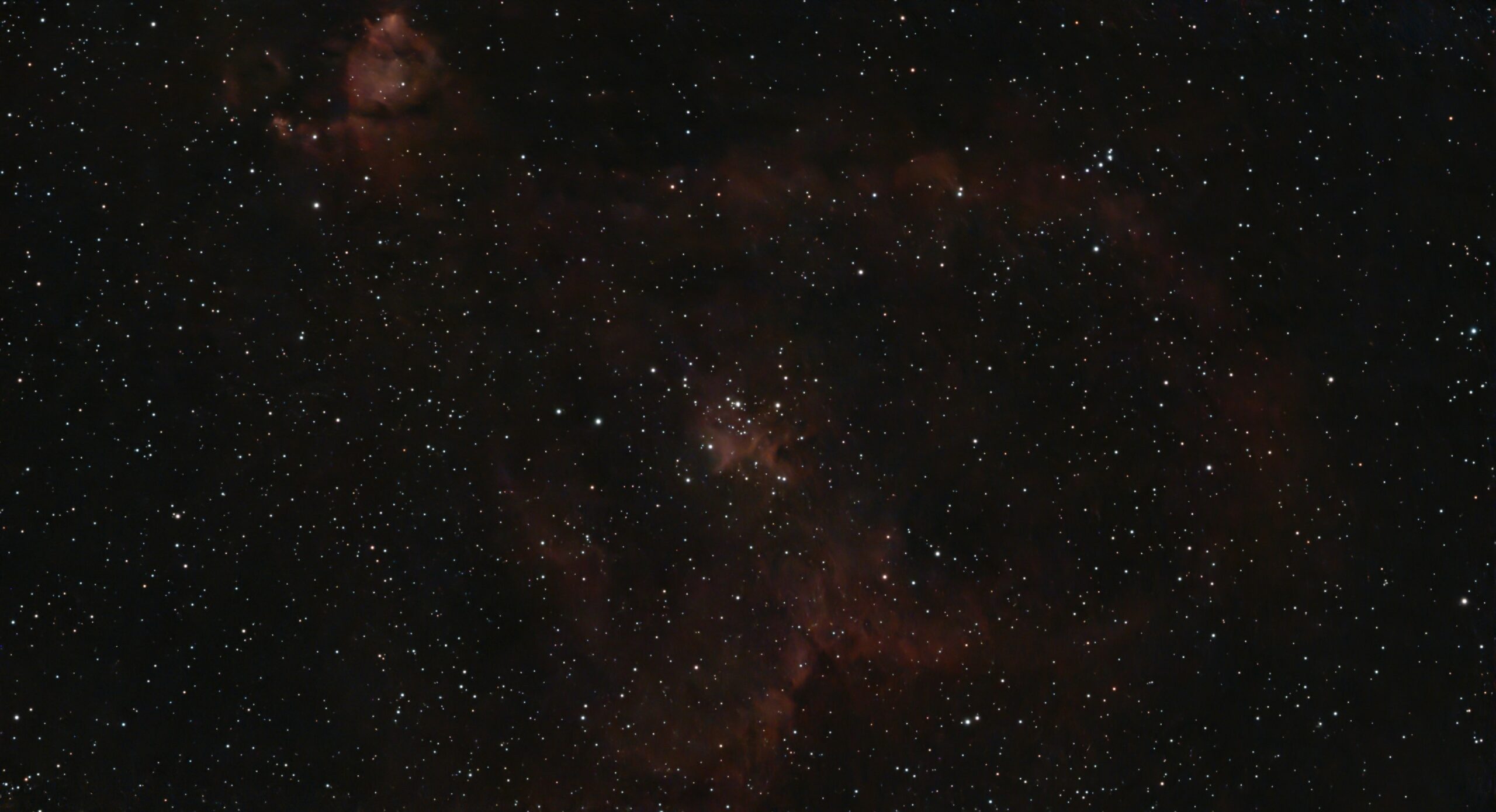 O invenție ce pare desprinsă din scenele unui film de science-fiction devine realitate în laboratorul unei tinere cercetătoare din Australia