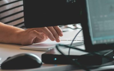 tlfw-woi8_w.jpg - StiriAlese