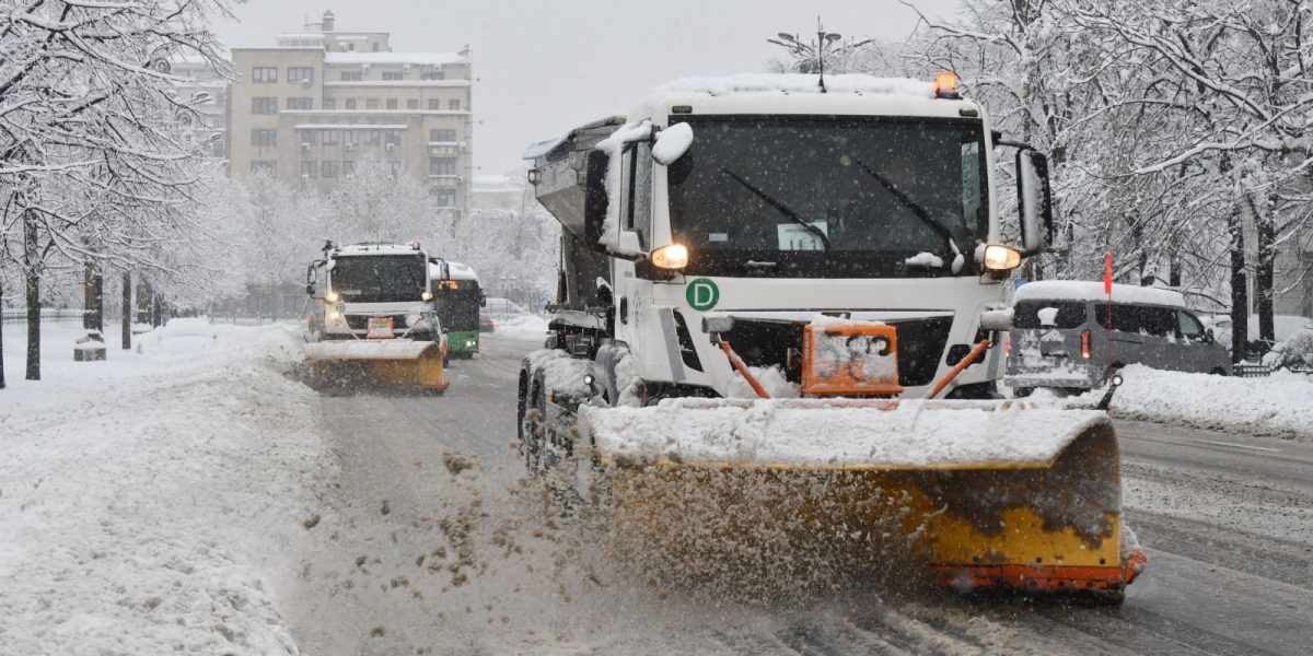 utilaje-de-deszapezire-in-Bucuresti.jpg - StiriAlese