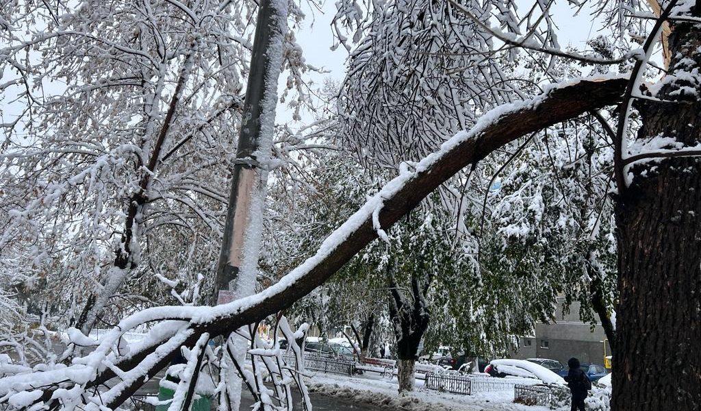 zapada-iarna-nameti-drumuri-inchise-viscol-cod-rosu-vreme-rea-noroi-deszapezire-copaci-cazuti2.jpeg - StiriAlese