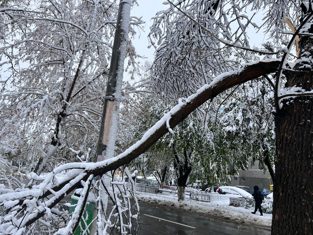 Bucureștiul, dar și alte zone din țară, au fost martorii unei furtuni de iarnă extrem de violente, care a pus la grea încercare infrastructura orașelor și a forțelor de intervenție