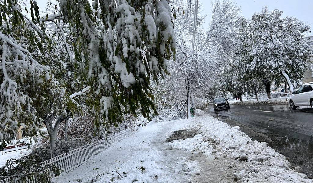 zapada-iarna-nameti-drumuri-inchise-viscol-cod-rosu-vreme-rea-noroi-deszapezire2.jpeg - StiriAlese