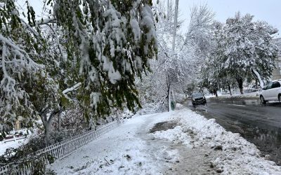 zapada-iarna-nameti-drumuri-inchise-viscol-cod-rosu-vreme-rea-noroi-deszapezire2.jpeg - StiriAlese