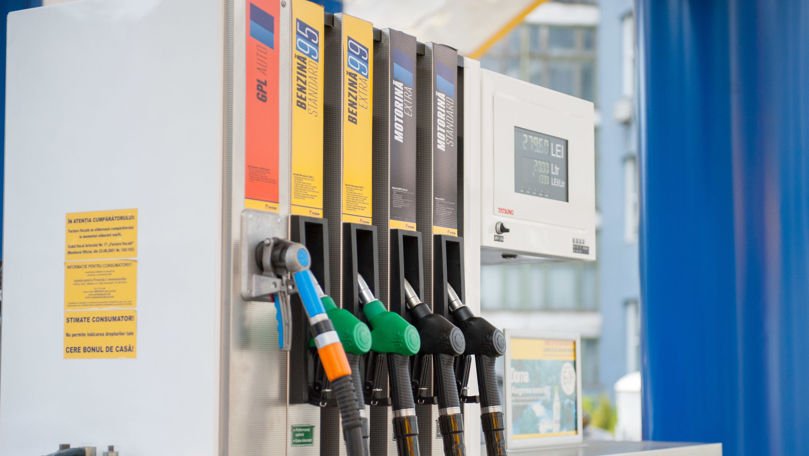 04b4029629672ac4f012e6aeed58269a.jpg - StiriAlese