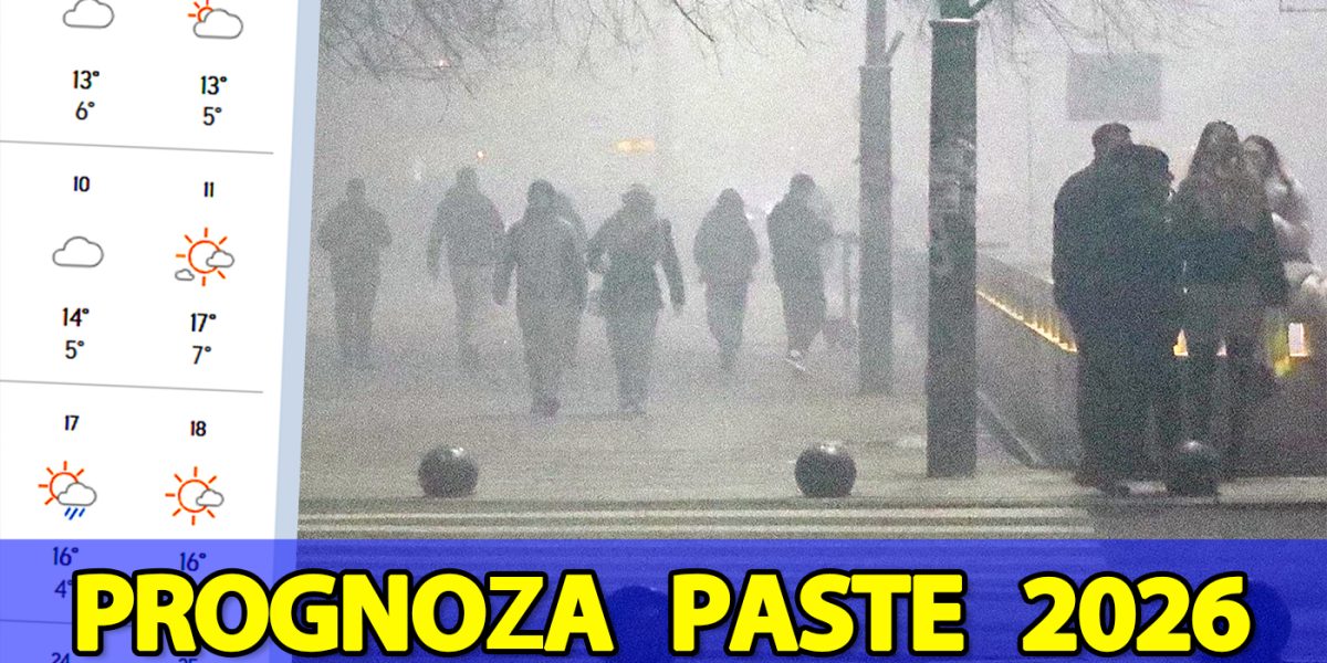 1-main-6.jpg - StiriAlese