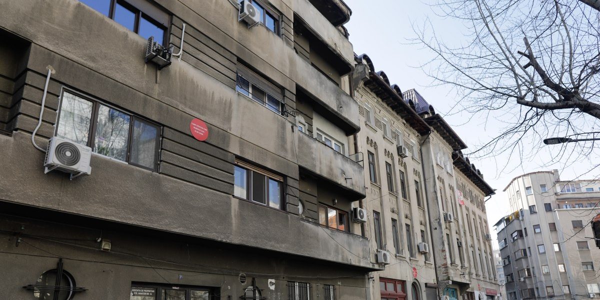 1772613392_index.jpeg - StiriAlese