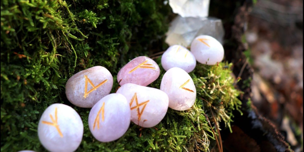 1774456063_index.jpeg - StiriAlese