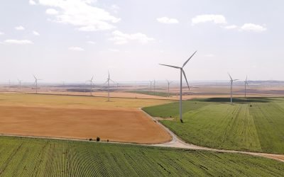 2-cee-salbatica-1-valea-nucarilor-jud-tulcea.jpg - StiriAlese