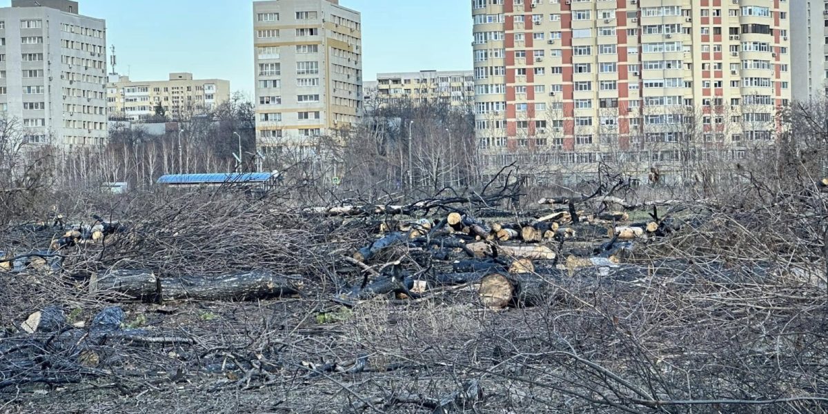 474623790_10162115091018280_9203578050960649434_n.jpg - StiriAlese