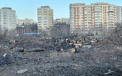 474623790_10162115091018280_9203578050960649434_n.jpg - StiriAlese