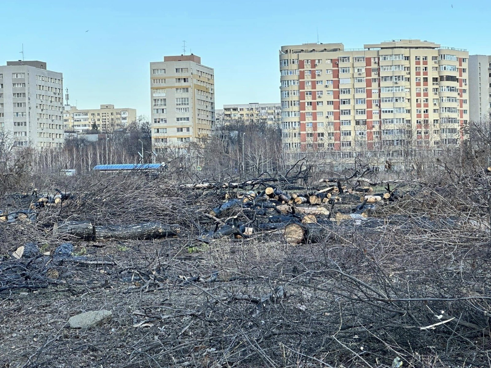 Primarul Capitalei, Ciprian Ciucu, răspunde provocărilor politice ale grupului AUR în contextul negocierilor pentru bugetul local Primarul Ciprian Ciucu a ieșit vunuit în fața provocărilor politice recente, răspunzând direct acțiunilor și solicitărilor grupului AUR, care au tensionat negocierile pentru bugetul general al Capitalei