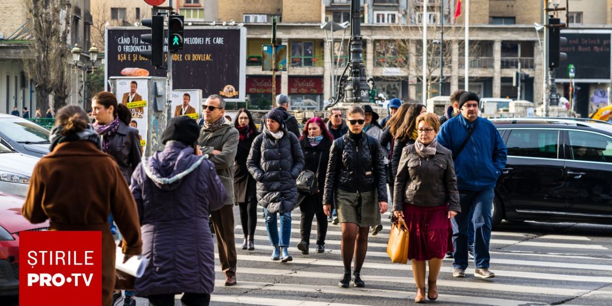 62603896.jpg - StiriAlese