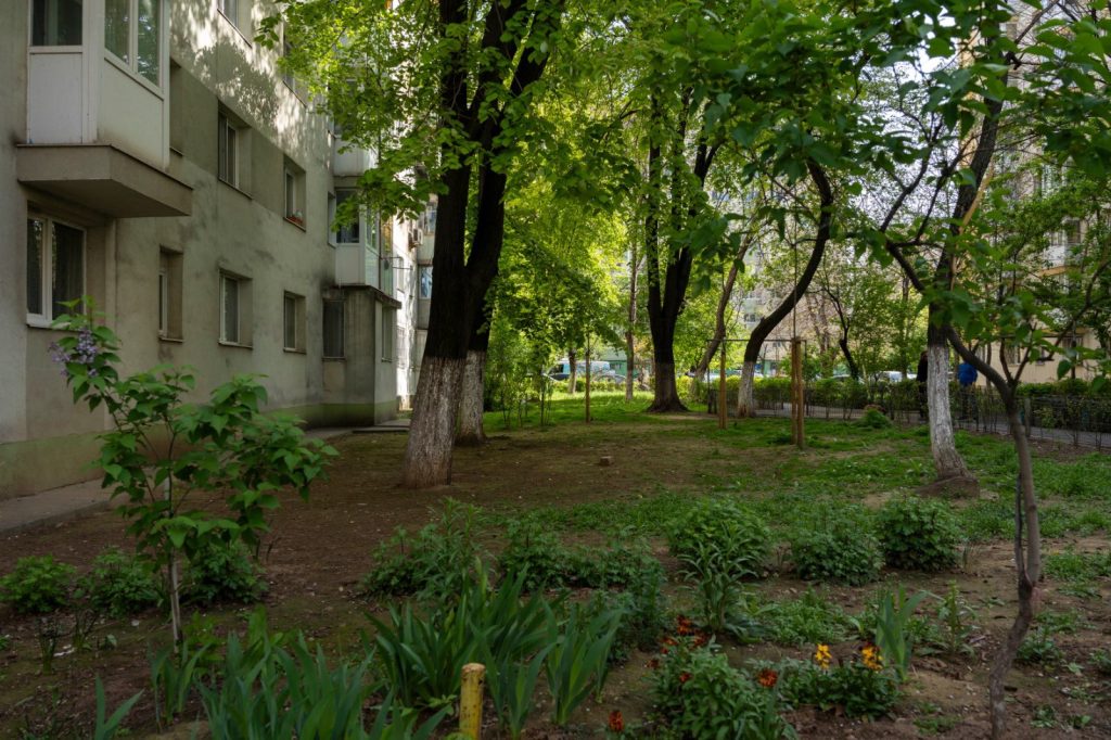 Echipele pot înscrie proiecte pentru refacerea spațiilor verzi din Pantelimon, în competiția C40 Students Reinventing Cities