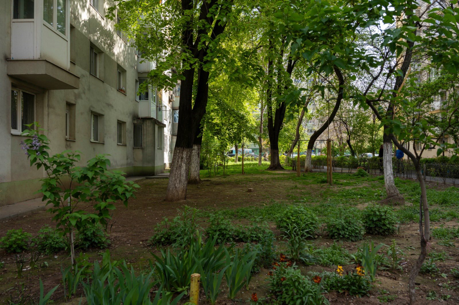 Echipele pot înscrie proiecte pentru refacerea spațiilor verzi din Pantelimon, în competiția C40 Students Reinventing Cities