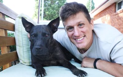 651835758_1533663562092124_6537350621245428356_n.jpg - StiriAlese