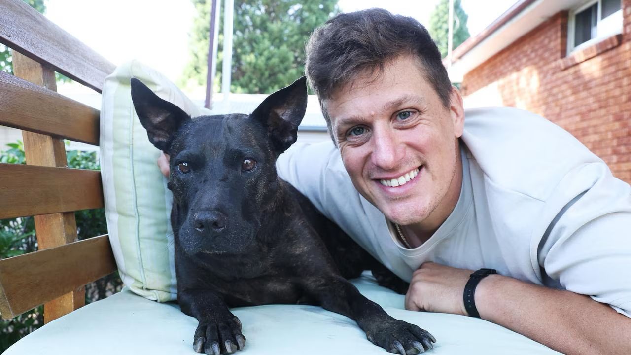 Un antreprenor din Sydney, Paul Conyngham, a reușit să folosească tehnologia AI pentru a ajuta un câine diagnosticat cu cancer agresiv, o poveste care a suscitat deja interes internațional în domeniul medicinei veterinare și al aplicării inteligenței artificiale în tratamente personalizate