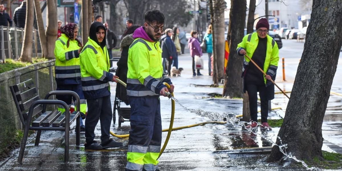 652912216_1357999909691276_4959557468630032966_n.jpg - StiriAlese