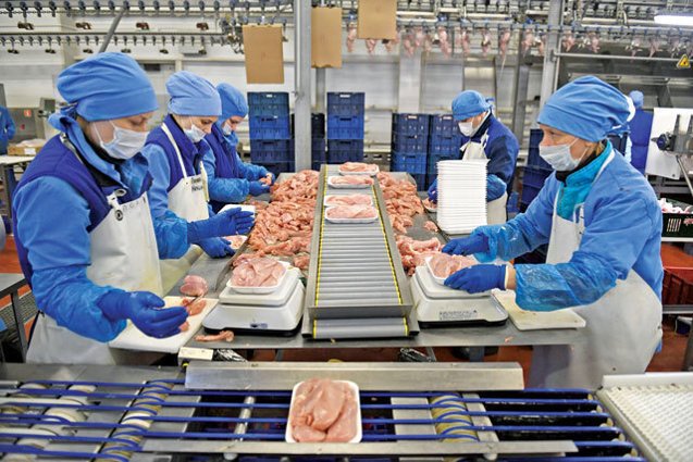 7-fabrica-carne-pasare-hepta-4173369.jpg - StiriAlese
