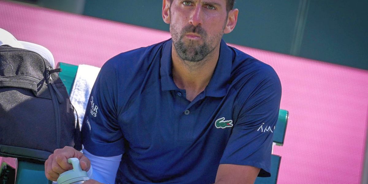 7c25afb5-78a4-4cfe-b677-7051b059b6c1.jpg - StiriAlese