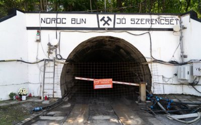 8048153-mediafax_foto-raul_stef-2-1024x683.jpg - StiriAlese