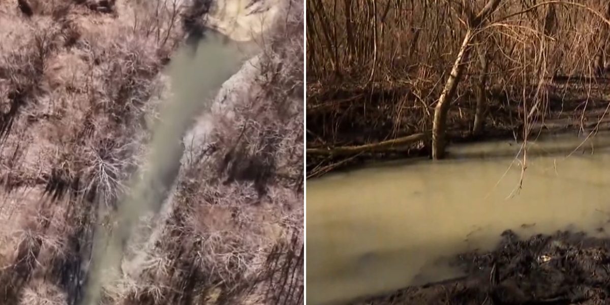 Apa-poluata-raul-Arges.jpg - StiriAlese