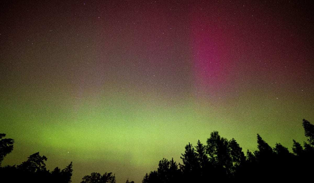 O auroră boreală în care se observă culorile verde și roz
