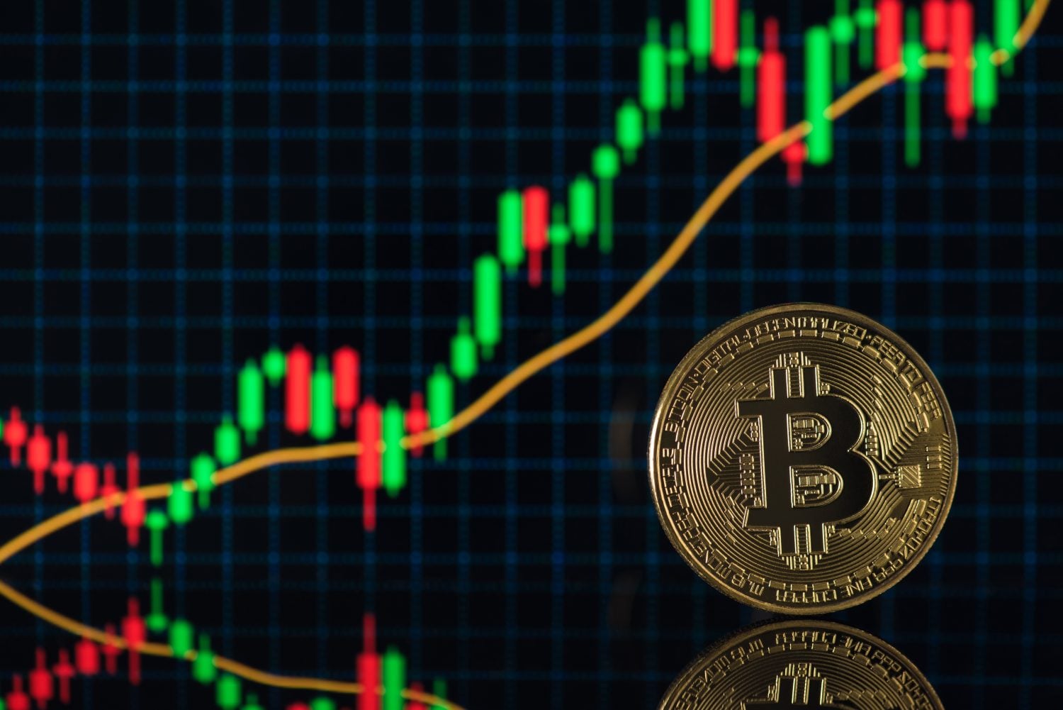 Bitcoin Is Down 19% in 2026 and These 3 ETFs Give You Every Way to Play It