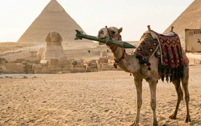 Camila-cu-racheta-e1772641139318.png - StiriAlese