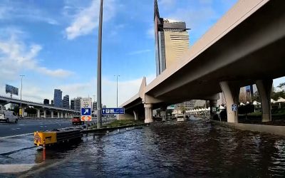 Video. Dubai hit by heavy overnight rain as floods snarl traffic and flights