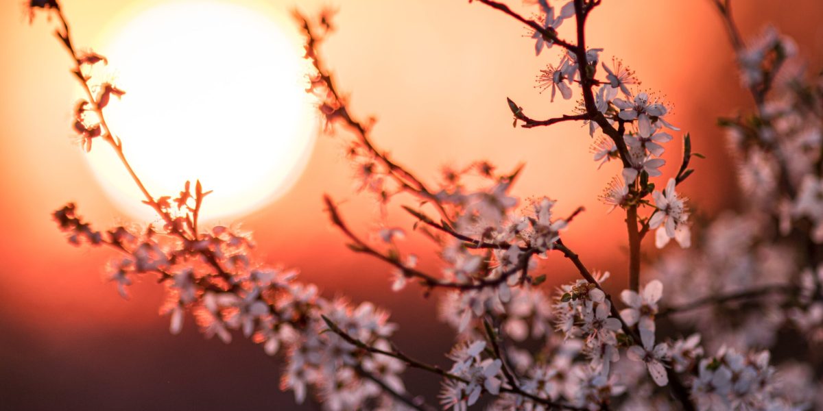 Echinocțiul de primăvară 2026. Explicația pentru care primăvara nu mai vine pe 21 martie