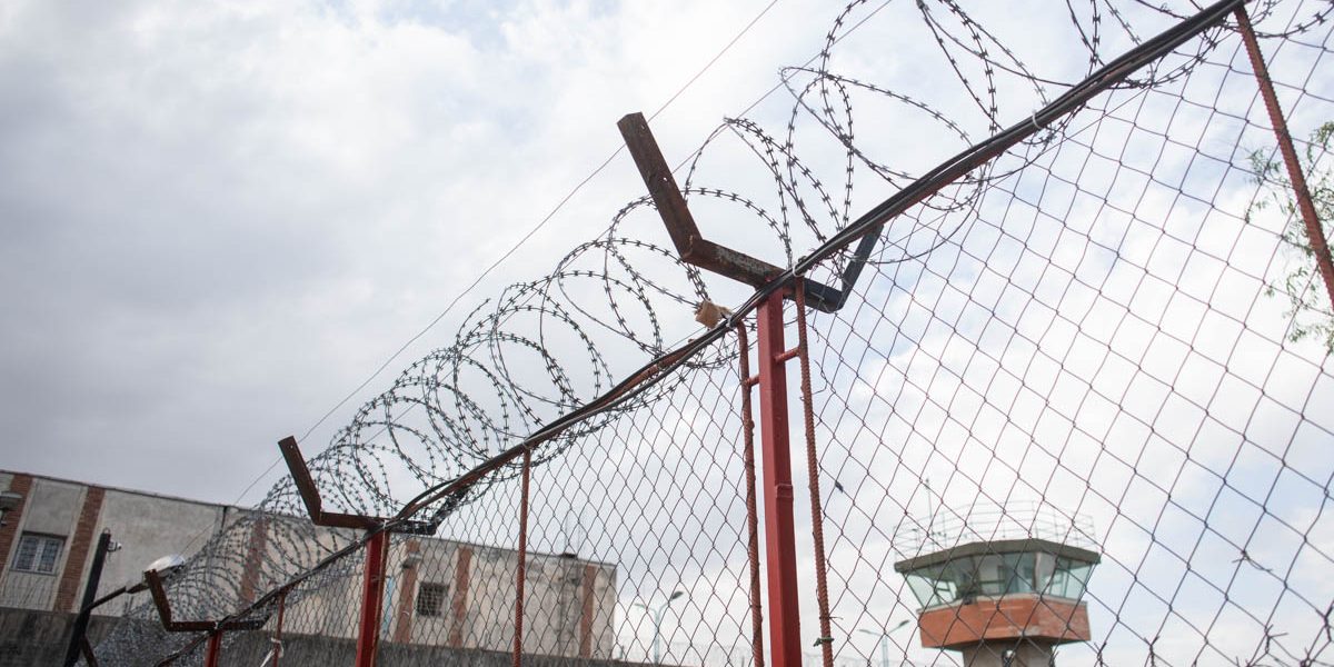 FB1A1086.jpg - StiriAlese