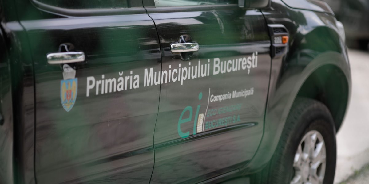 ID169022_INQUAM_Photos_George_Calin-scaled-e1763987516448.jpg - StiriAlese