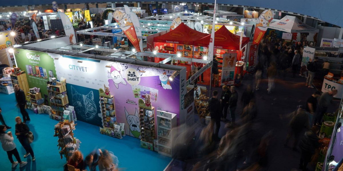 ID252746_INQUAM_Photos_Saul_Pop-scaled.jpg - StiriAlese