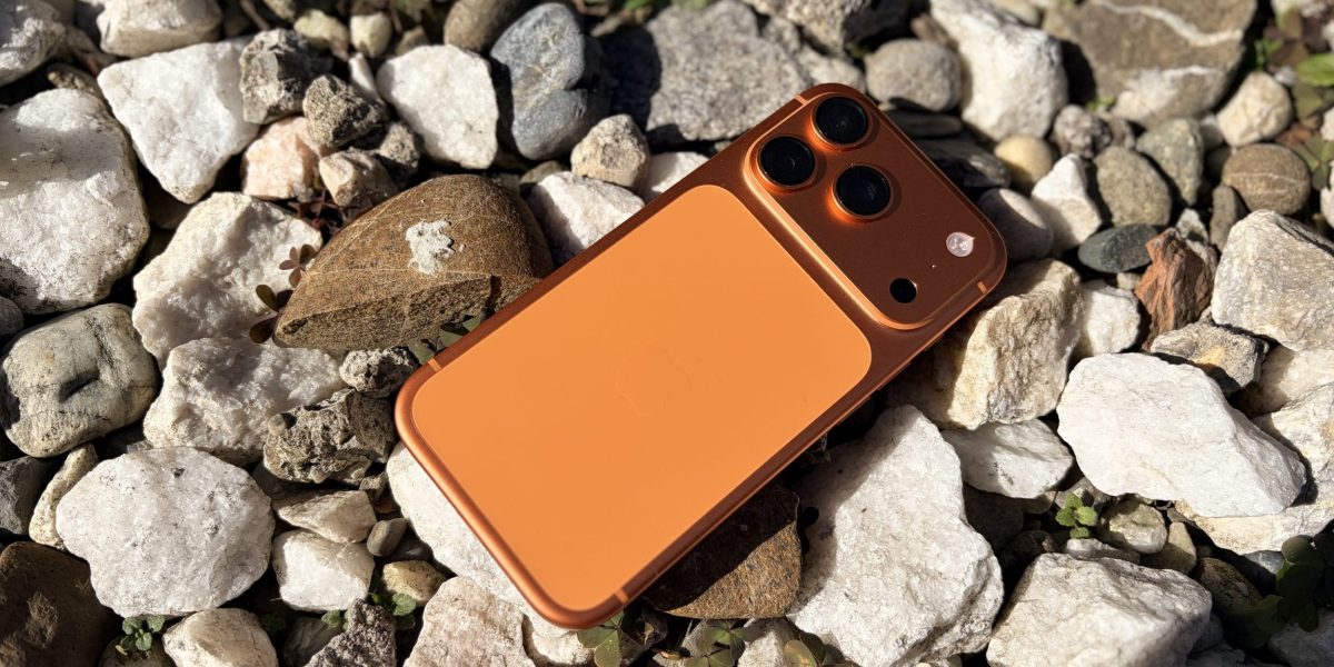 IMG_0541-scaled-e1772194675387.jpeg - StiriAlese