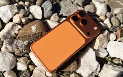 IMG_0541-scaled-e1772194675387.jpeg - StiriAlese