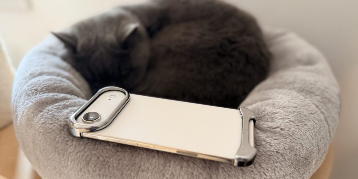 IMG_0619-scaled.jpeg - StiriAlese